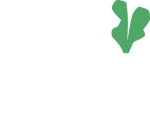 logo-1
